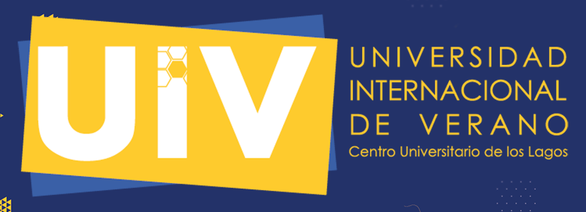Universidad Internacional de Verano