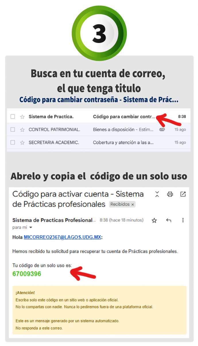 Paso 3