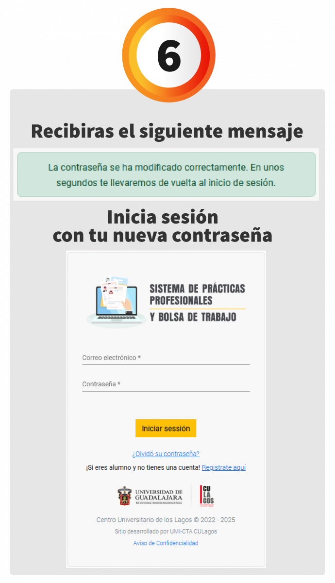 Paso 6