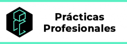 Anterior Sistema de Prácticas Profesionales