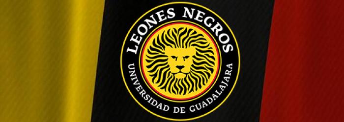 Mini Banner Leones Negros