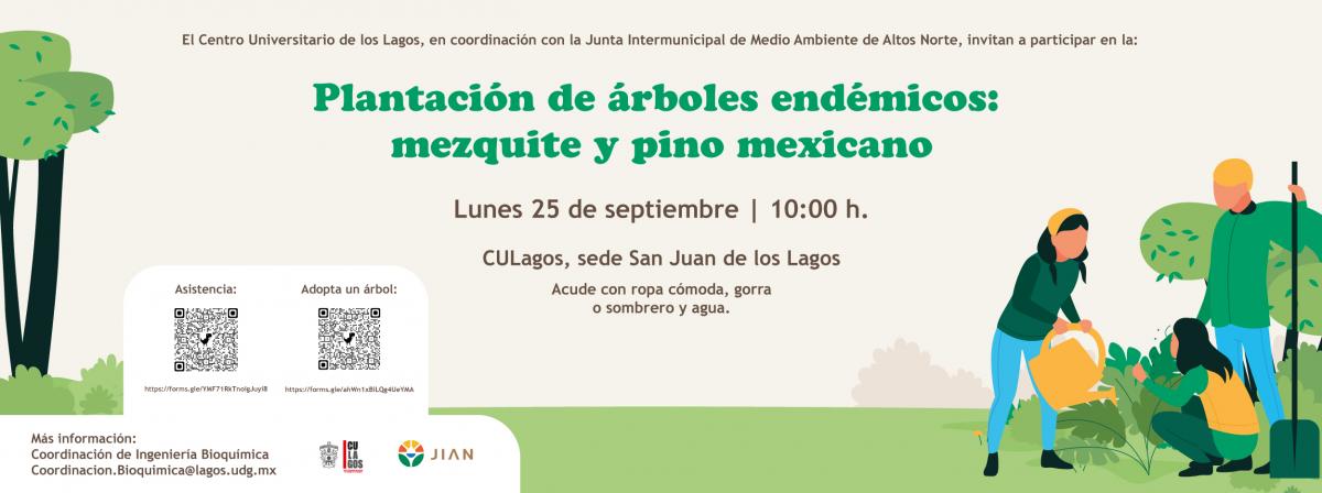 Banner - Plantación de árboles endemicos