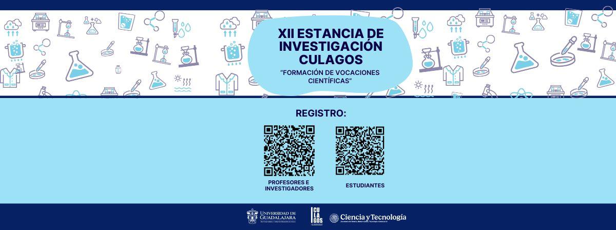Verano de investigación