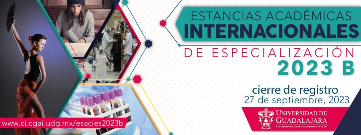 Banner - Estancias Académicas Internacionales de Especialización 2023 - B