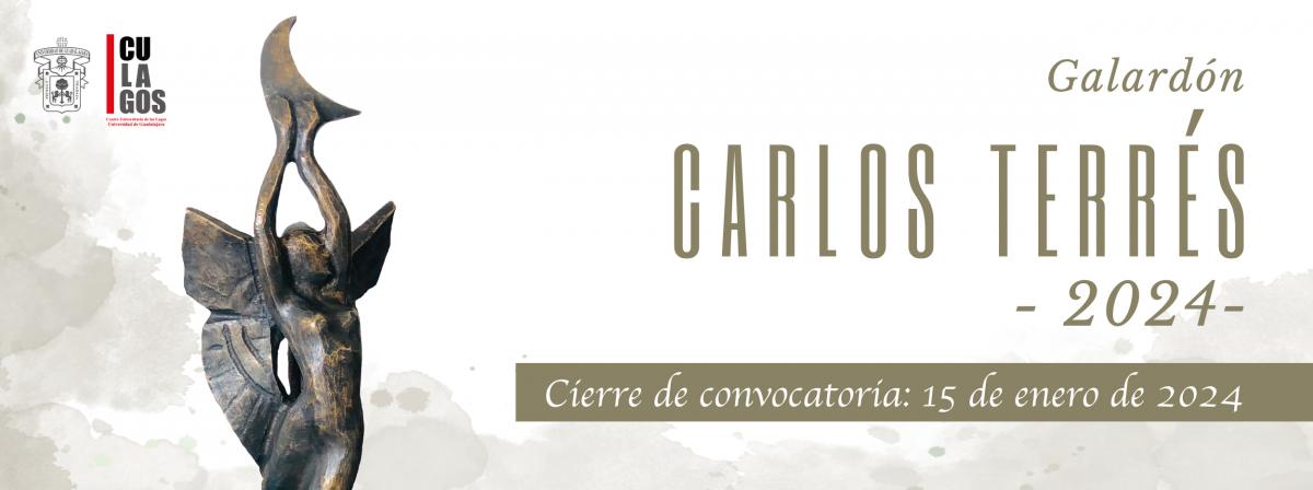 Banner - Convocatoria Galardón Carlos Terrés