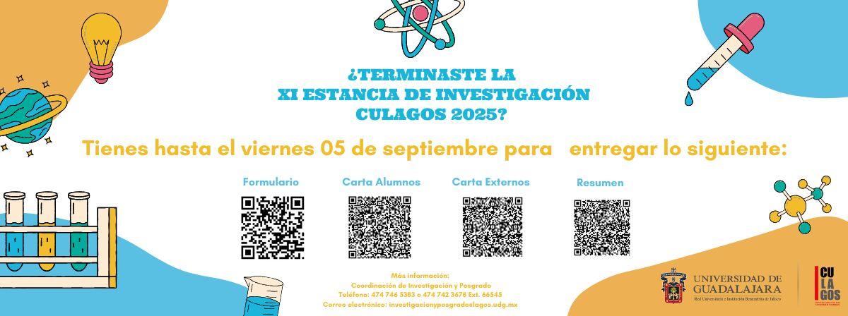 Verano Investigación 2025