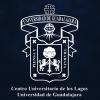 Logotipo de la Universidad de Guadalajara