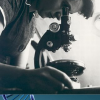 Seminario Rosalind Franklin